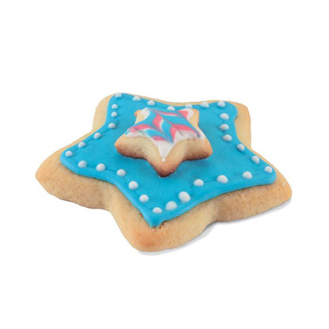 Nesting Cookie Cutters Star Shapes (Set of 4)